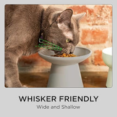 Necoichi base d’assiette chat stable avec surface anti-glissement.