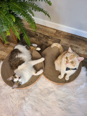 Necoichi bol-grattoir-chat-confort-reversible: double surface pour longevite