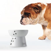 Necoichi bol-nourriture-eleve-porcelaine: bol sur socle pour repas détendu.