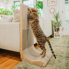 Necoichi grattoir mural en carton pour chats d’intérieur, favorisant un griffage propre sur le mur