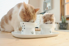 猫壱 plateau anti debordement: plateau et rebord interieur prevenant les eclaboussures