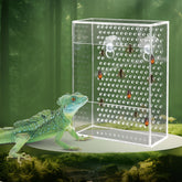 Neeenn alimentateur-reptile-boite-transparente, nourrir sans évasion