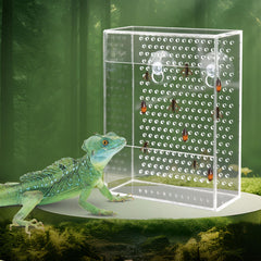Neeenn alimentateur-reptile-boite-transparente, nourrir sans évasion