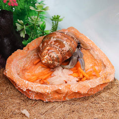 Neeenn bol nourriture reptile résine grand, grande capacité pour repas généreux