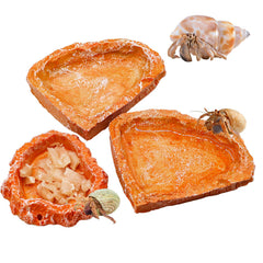 Neeenn ensemble bols nourriture reptile résine trois bols pratique pour repas et hydratation