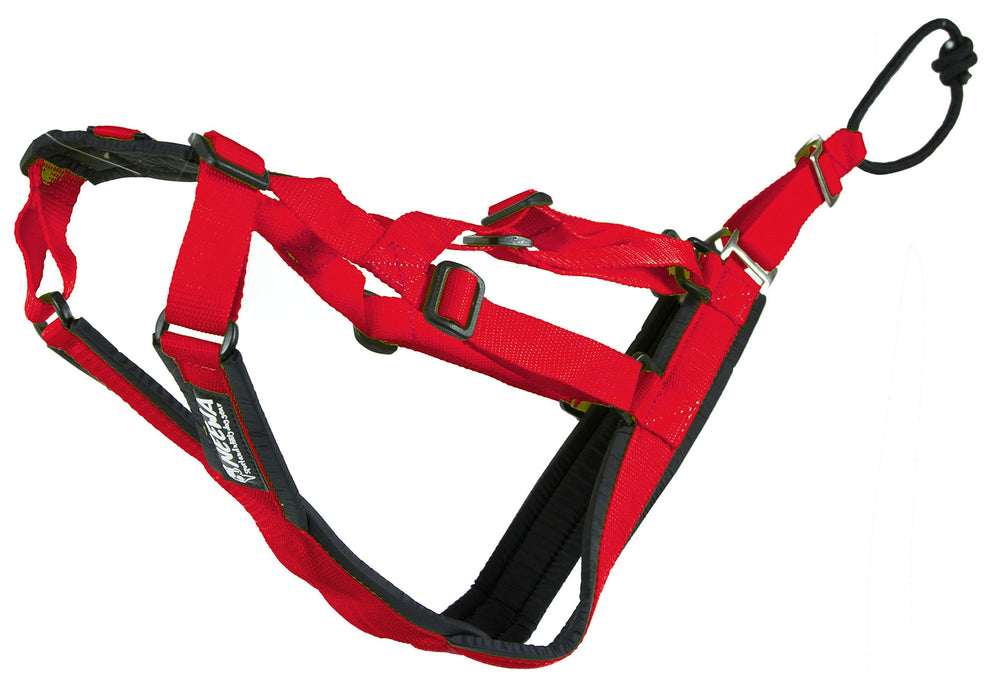 Harnais Neewa Sled Pro X rouge, vue avant, idéal pour traîneau et canicross.