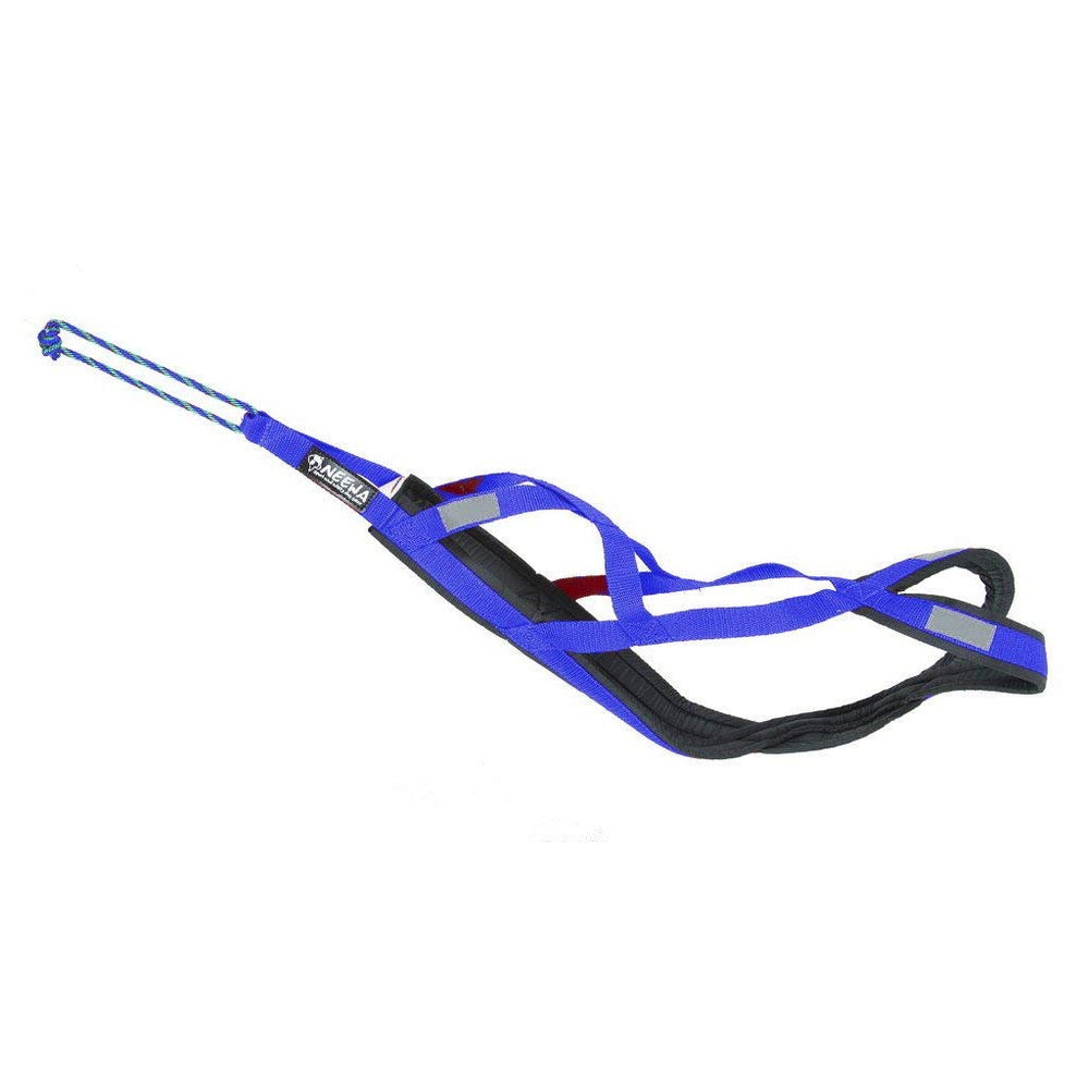 Neewa Pro harnais traîneau bleu, dos confort pour tirages durables