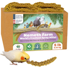 Nemeth Farms millet en brins entiers – brins Midwest – récompense naturelle pour les oiseaux.