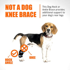 NeoAlly attelle chien arrière avec ressorts métalliques doubles pour soutien renforcé.
