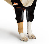 NeoAlly chien porte l'orthèse de coude avec inserts métalliques pour soutien.