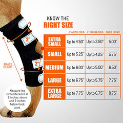 NeoAlly manchon compression jarret-arriere: enveloppe legere pour protection.