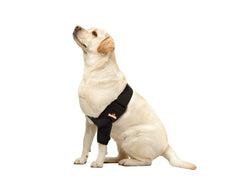 NeoAlly protége-coude-chien adaptation anatomique montre un ajustement confortable.