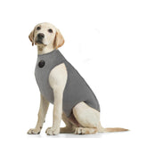 NeoAlly vetement recuperation chien, vue densemble protege plaies et zones sensibles.