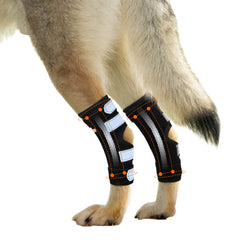 NeoAlly X-Large orthèse jarret arrière sur chien, soutien précis pour grande taille.