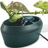 NEPTONION réptile cantina – eau continue pour hydratation constante dans le terrarium.