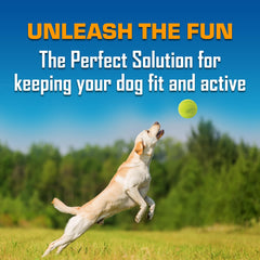 Nerf Dog Classic Squeak Ball: légère et durable pour des sessions prolongées.