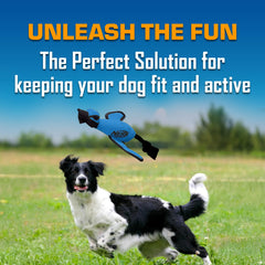 Nerf Dog Extérieur Nylon Durable, coque résistante adaptée aux mâchouilles et activités actives.