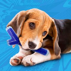 Nerf Dog Stick core solide, durabilité pour les jeux en plein air.