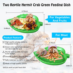 NestBasics assiette-feuille verte pour viande, repas séparé et pratique