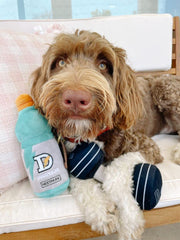 Nestpark cadeau original pour chien, parfait lors d’anniversaires canins.