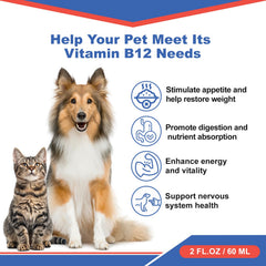 Netrca Chat – B12 méthylcobalamine pour énergie et bien-être.