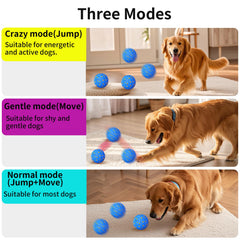 Balle NETRCO avec moteur intelligent et trois modes pour chien.
