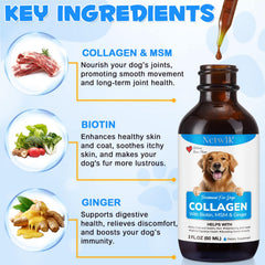 Netwik Collagène pour chien — soin peau et articulations avec biotine et MSM.