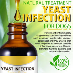 Netwik relief allergies chien, 2oz peut contribuer au confort cutané