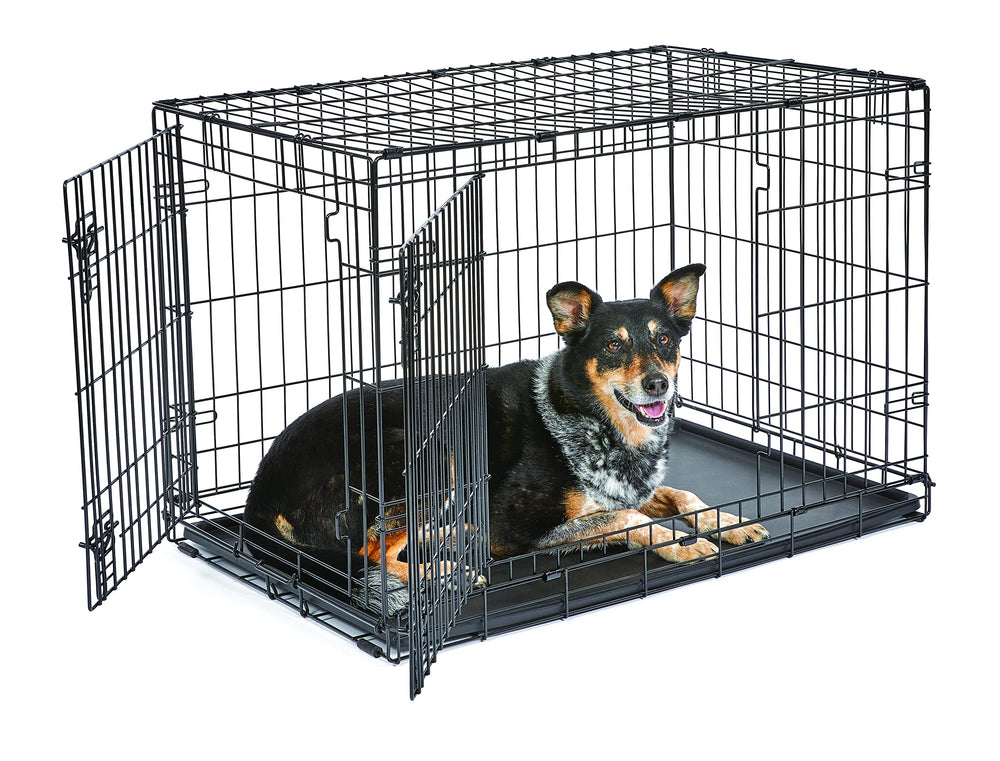 New World cage pour chien 36 pouces avec porte double pour un accès pratique