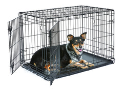New World cage pour chien 36 pouces avec porte double pour un accès pratique