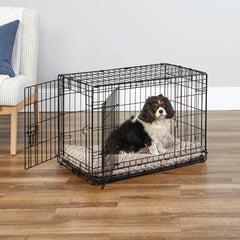 New World Cage-chien porte double ouverte, accès facilité pour le chien.