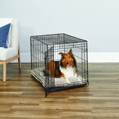 New World crate chien 36po bac etanche facilite le nettoyage