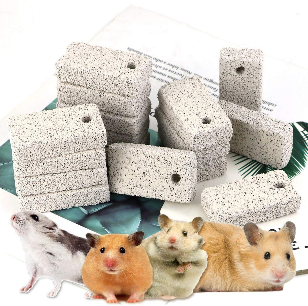Newbested-bites-lava-dents-petits-animaux favorise le meulage naturel des dents.