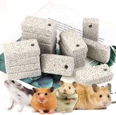 Newbested-bites-lava-dents-petits-animaux favorise le meulage naturel des dents.