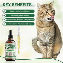 Nexalo rithu Stimulateur d'appétit pour chats – image d'aliments, possible soutien à l'appétit régulier.