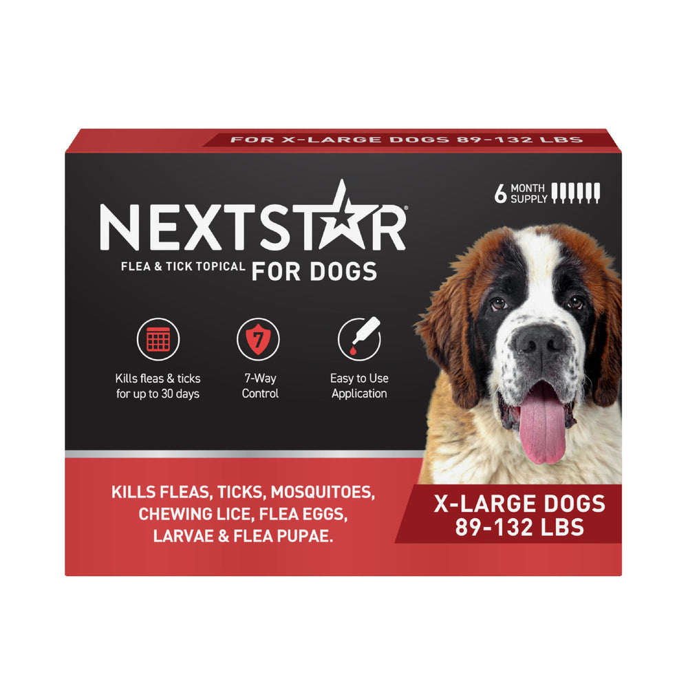 NEXTSTAR: bouteille topique anti-puces et tiques pour chien.