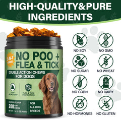 Flacon NEXZL avec probiotiques et enzymes digestives