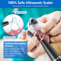 Ni-SHEN Dog Plaque Remover kit dentaire complet, nettoyage efficace du tartre