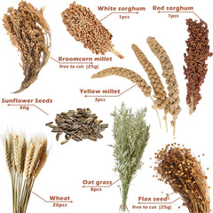 NICERINC PET – Déco d'habitat avec grains naturels, couleur et ambiance naturelle.