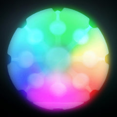 GlowStreak Disc-O en action – activation par rebond pour chien et maître.
