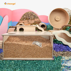 Niteangel litiere absorbe les odeurs, hamster heureux.
