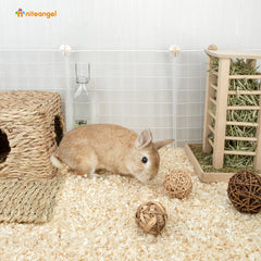 Niteangel Aspen sans poussière, adapté aux animaux sensibles.