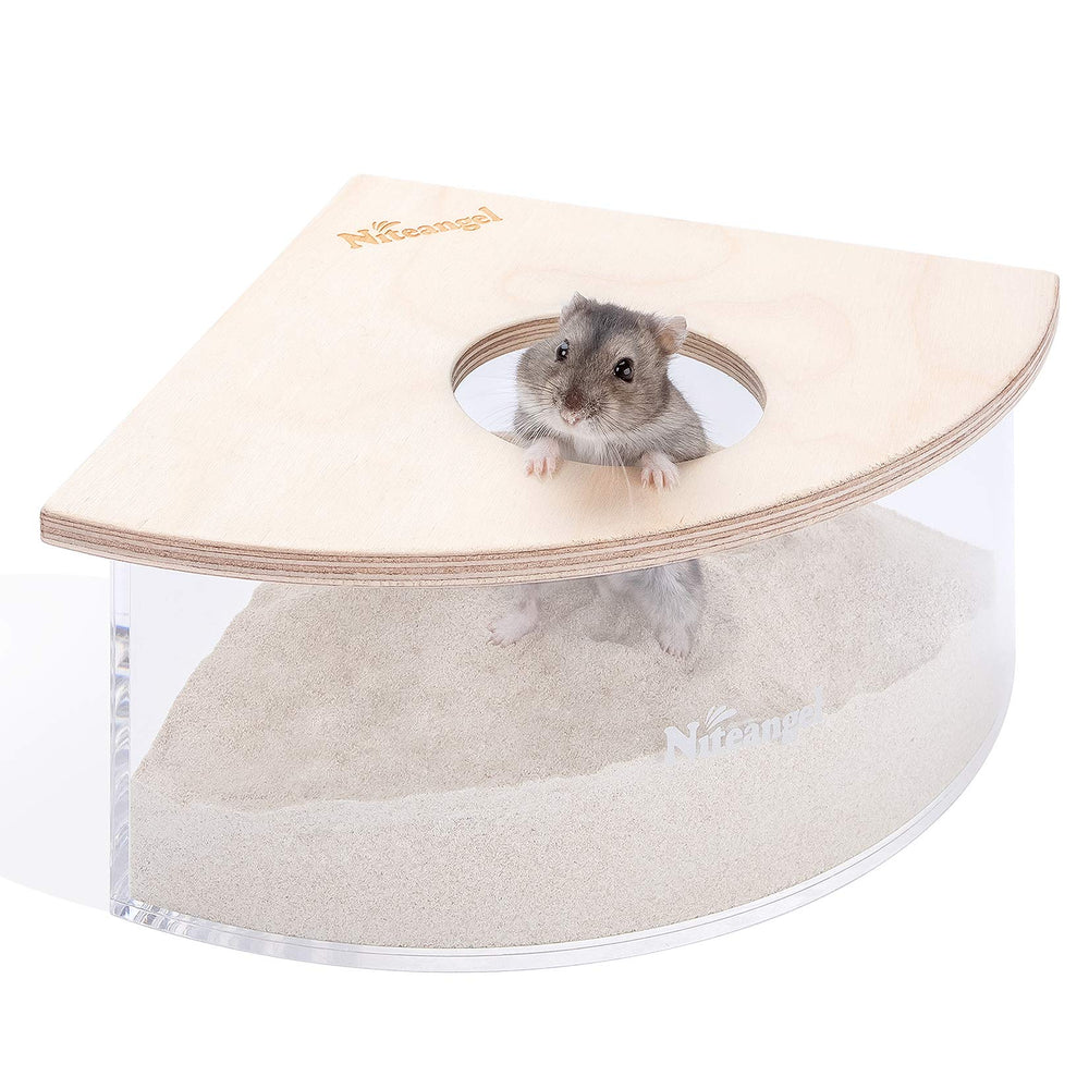 Niteangel bain-de-sable triangle en acrylique — vue claire pour observer les hamsters qui jouent.