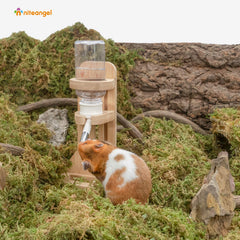 Porte-bouteille Niteangel pour rat, montage stable.