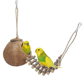 Niteangel cachette naturelle en noix de coco avec échelle, idéale pour l'enrichissement.