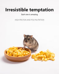 Niteangel citrouille lyophilise, délice sain pour petits animaux.