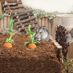 Niteangel Litière coco-cork, hamsters en train de creuser et jouer