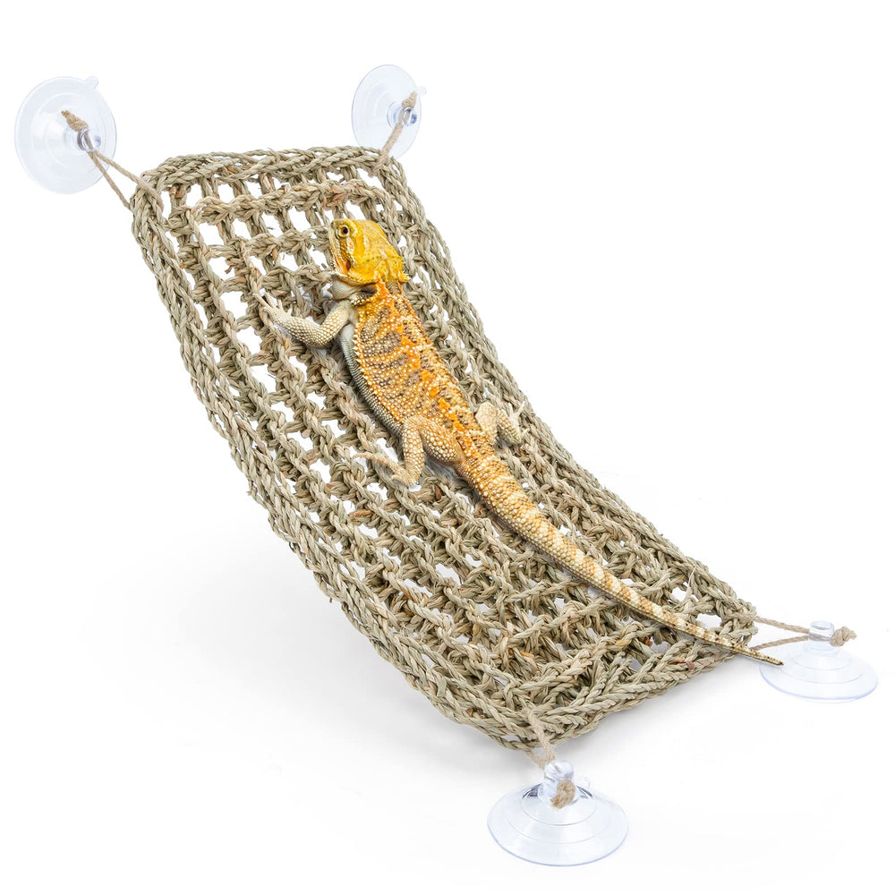 Niteangel hamac rectangle 16x8 pour reptiles, offre un repos sûr et accessible.