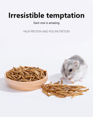 Niteangel nutriments-petits-animaux fournit vitamines et minéraux pour l'énergie