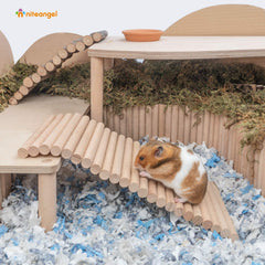 Niteangel passerelle bois rats, parfaite pour escalader et découvrir l’habitat.
